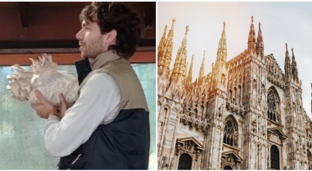 Pietro Trevisan lascia il hi-tech e crea una micro-farm di funghi nel cuore di Milano