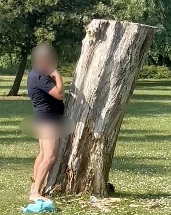 Uomo arrestato dopo bizzarro incontro amoroso con un albero in un parco pubblico