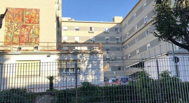 sesso cane sesso cane