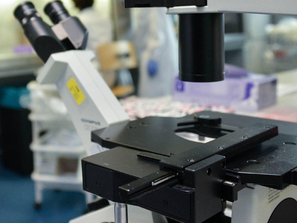cancro nuova cancro nuova