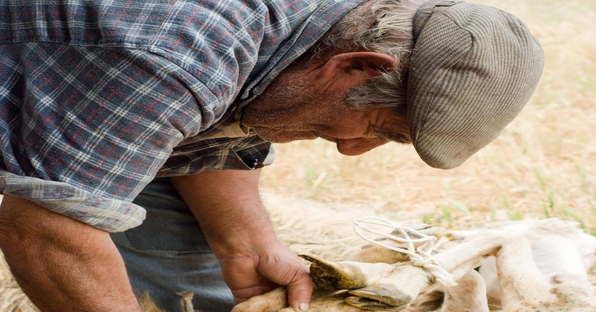 Consumi e abitudini - come è cambiato lo stile di vita in Sardegna