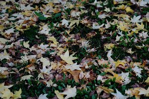 equinozio autunno