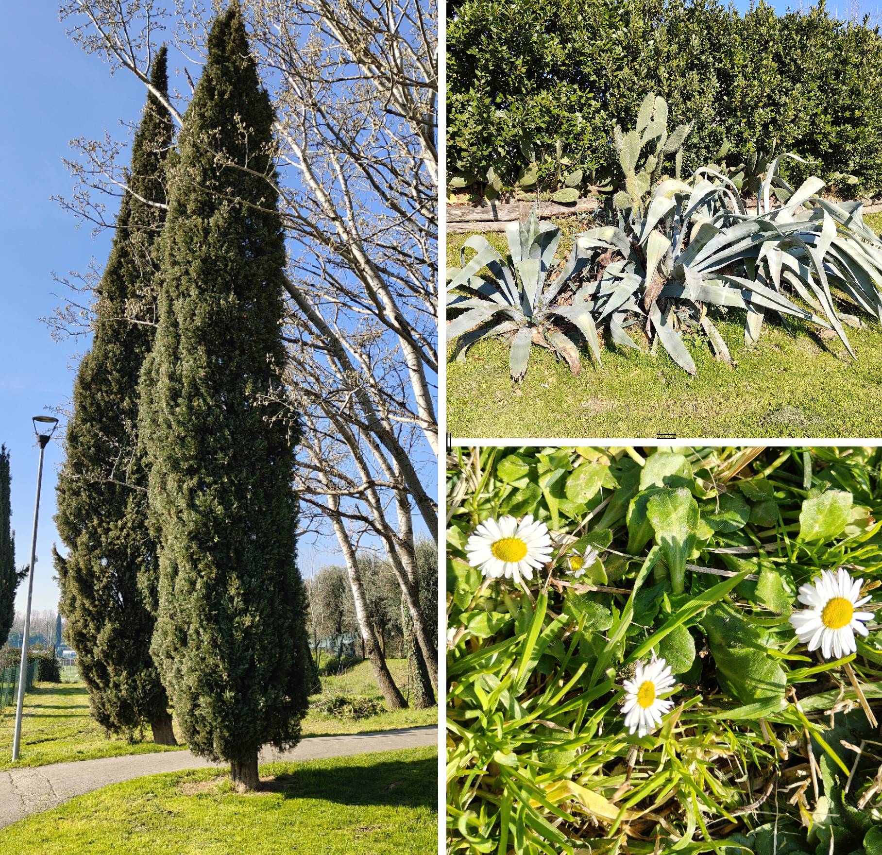 recensione realme Recensione Realme 14 Pro+ 5G