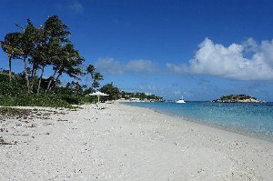 anziana dimenticata anziana dimenticata