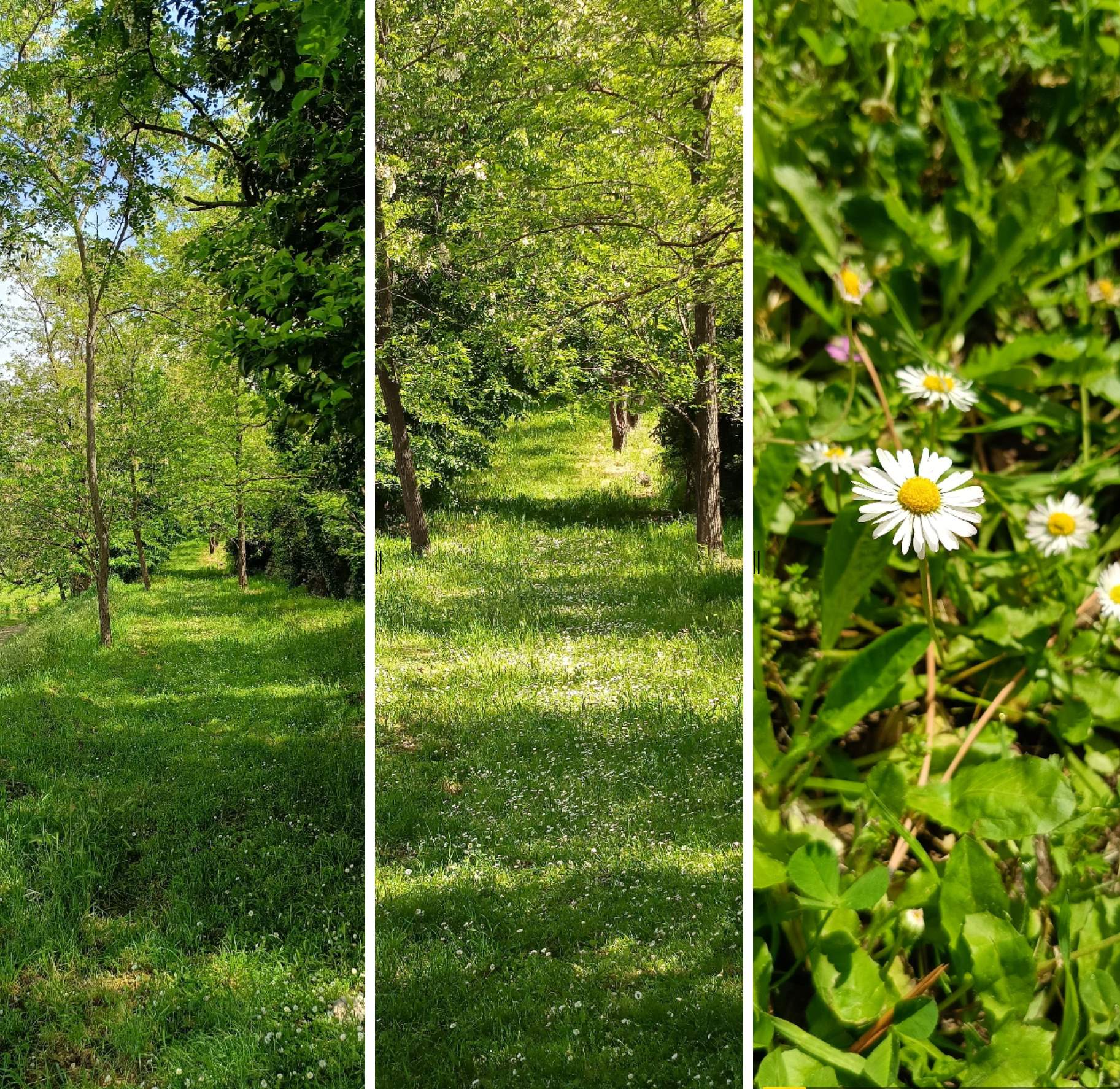  Realme 12 5G Recensione