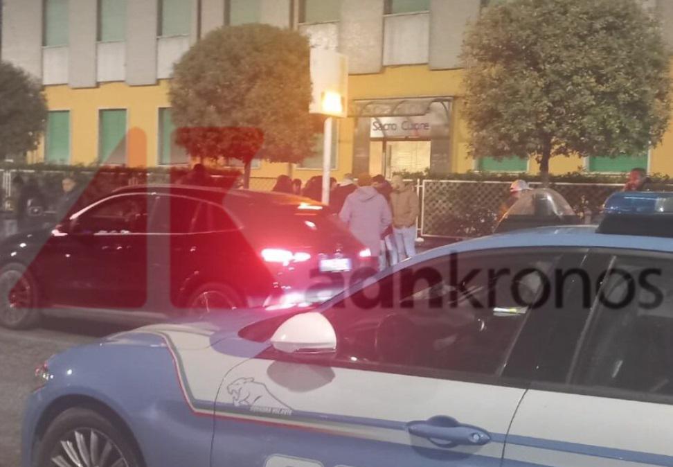 cosenza neonata cosenza neonata