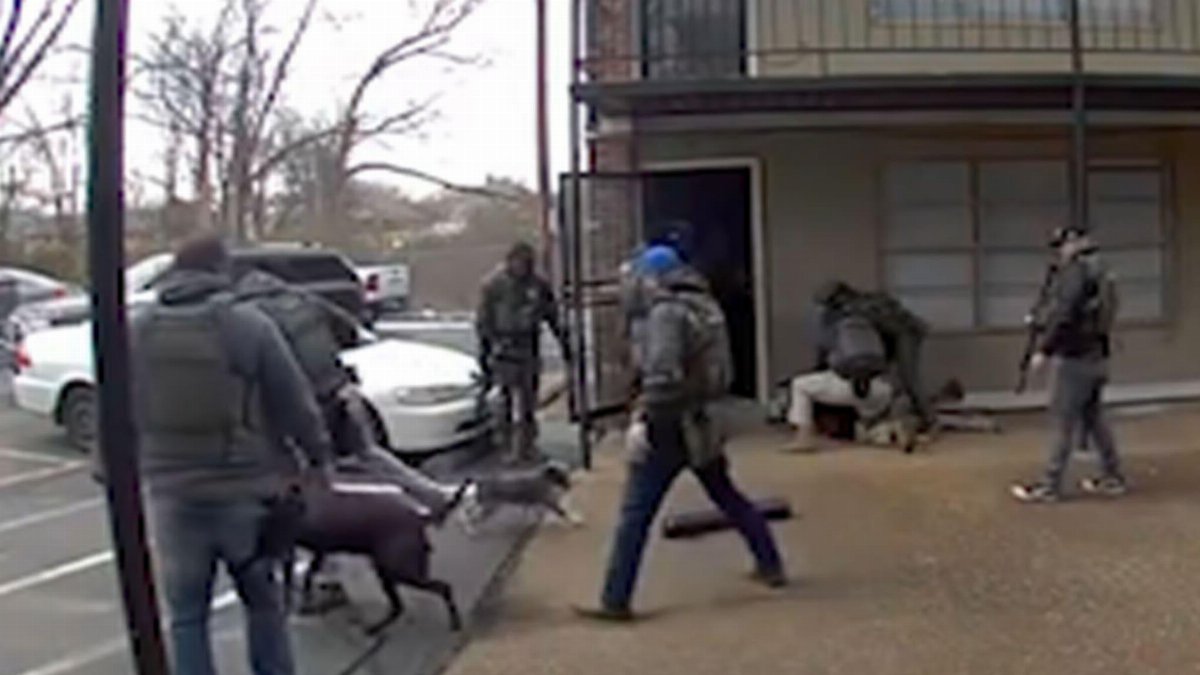 Agente federale colpisce due volte un cane durante un arresto a Memphis Agente federale colpisce due volte un cane durante un arresto a Memphis