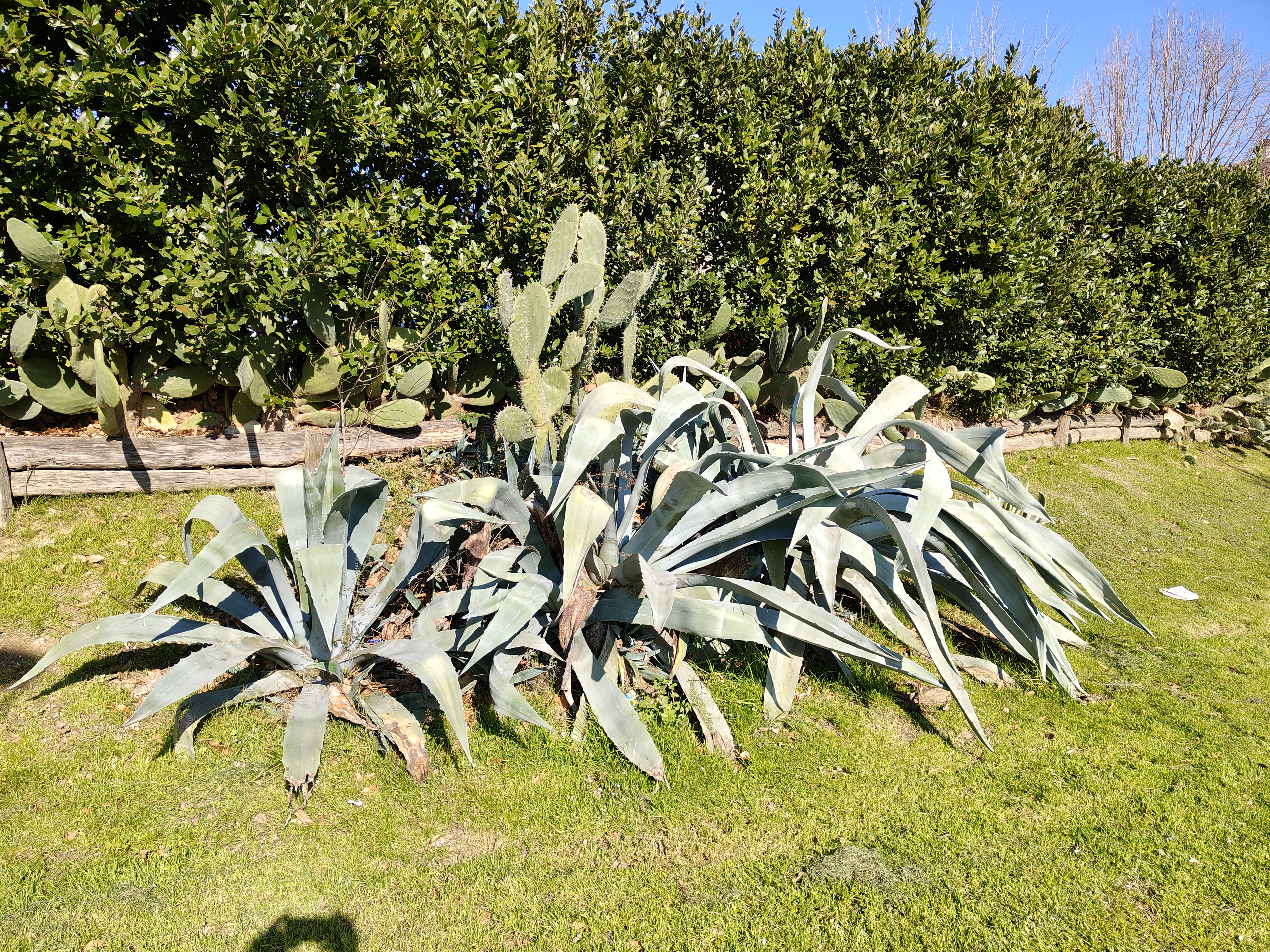 recensione realme Recensione Realme 14 Pro+ 5G