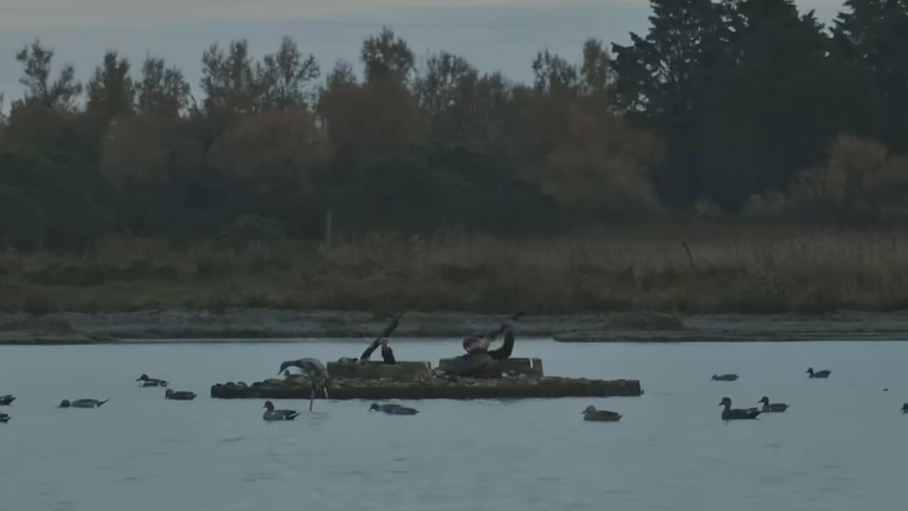 donald trump donald trump