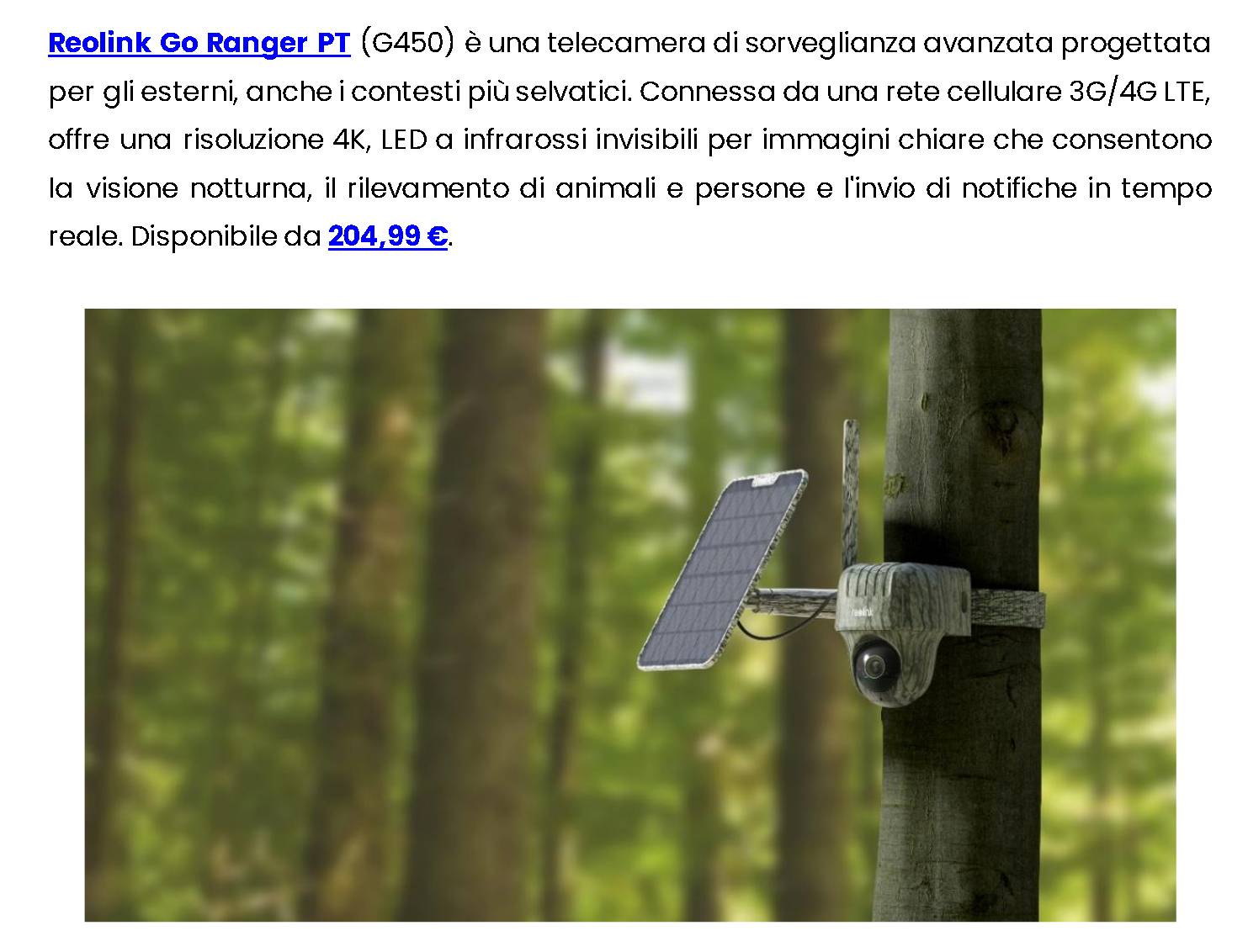 Reolink si espande nel mercato italiano