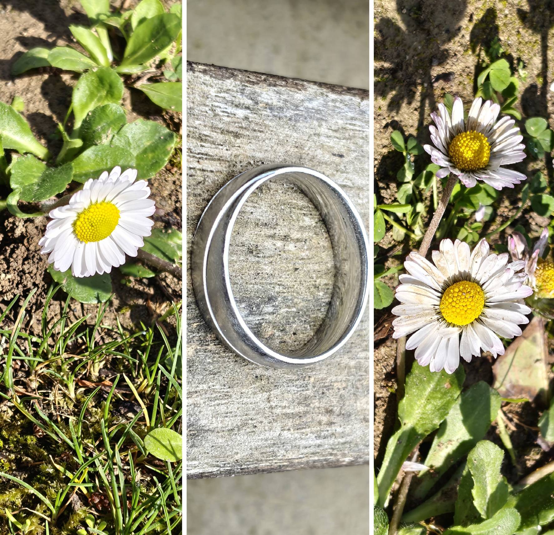 Recensione Realme 16 Pro Plus