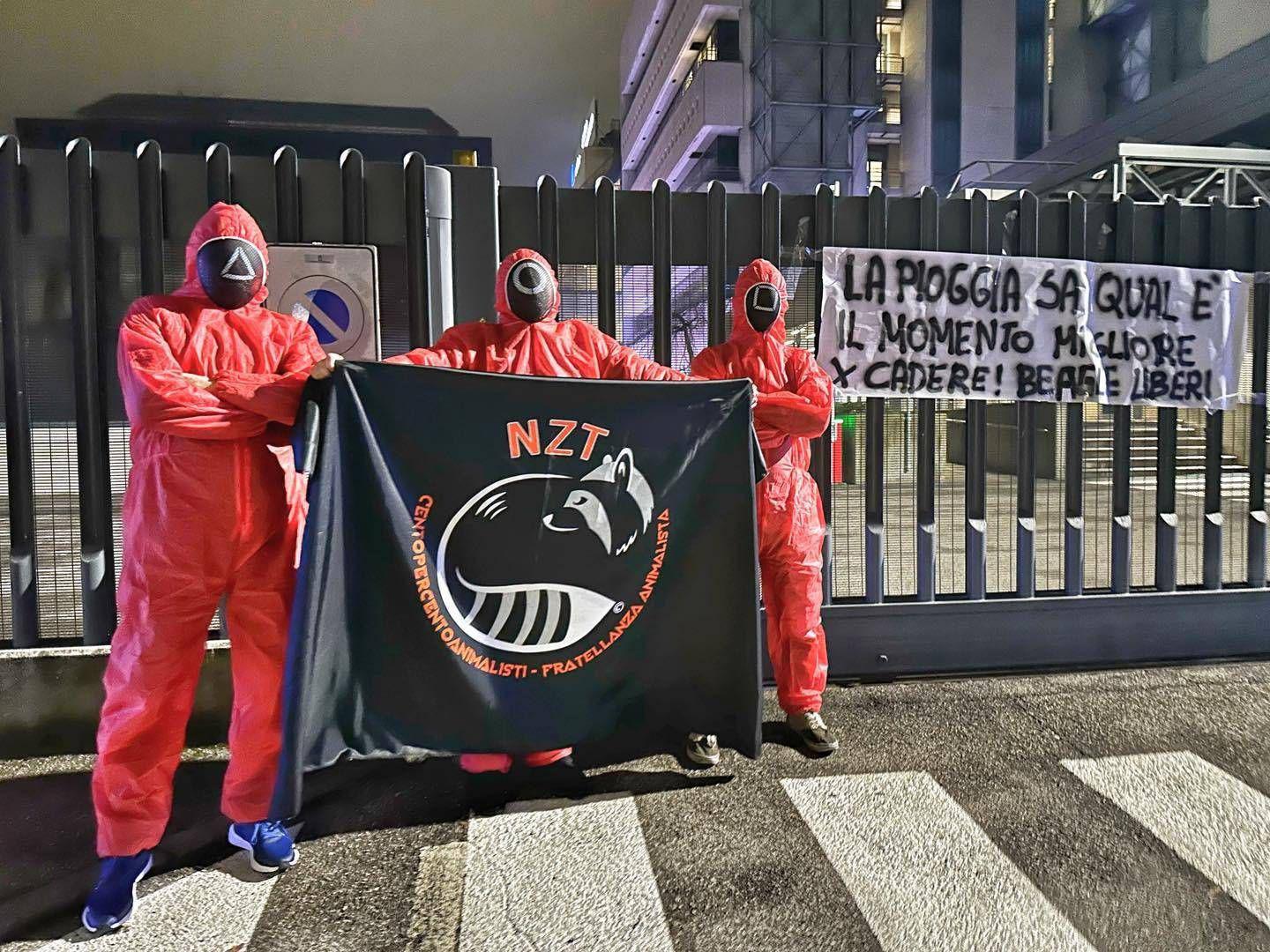 Protesta a Verona: attivisti in stile Squid Game contro la sperimentazione sui Beagle
