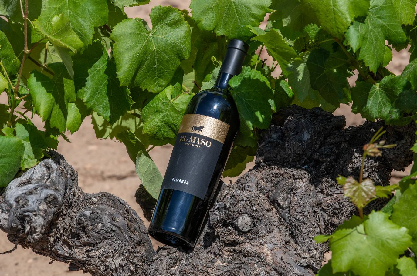 FANTINI: RILEVATA LA CANTINA EX VENTA LA VEGA IN SPAGNA