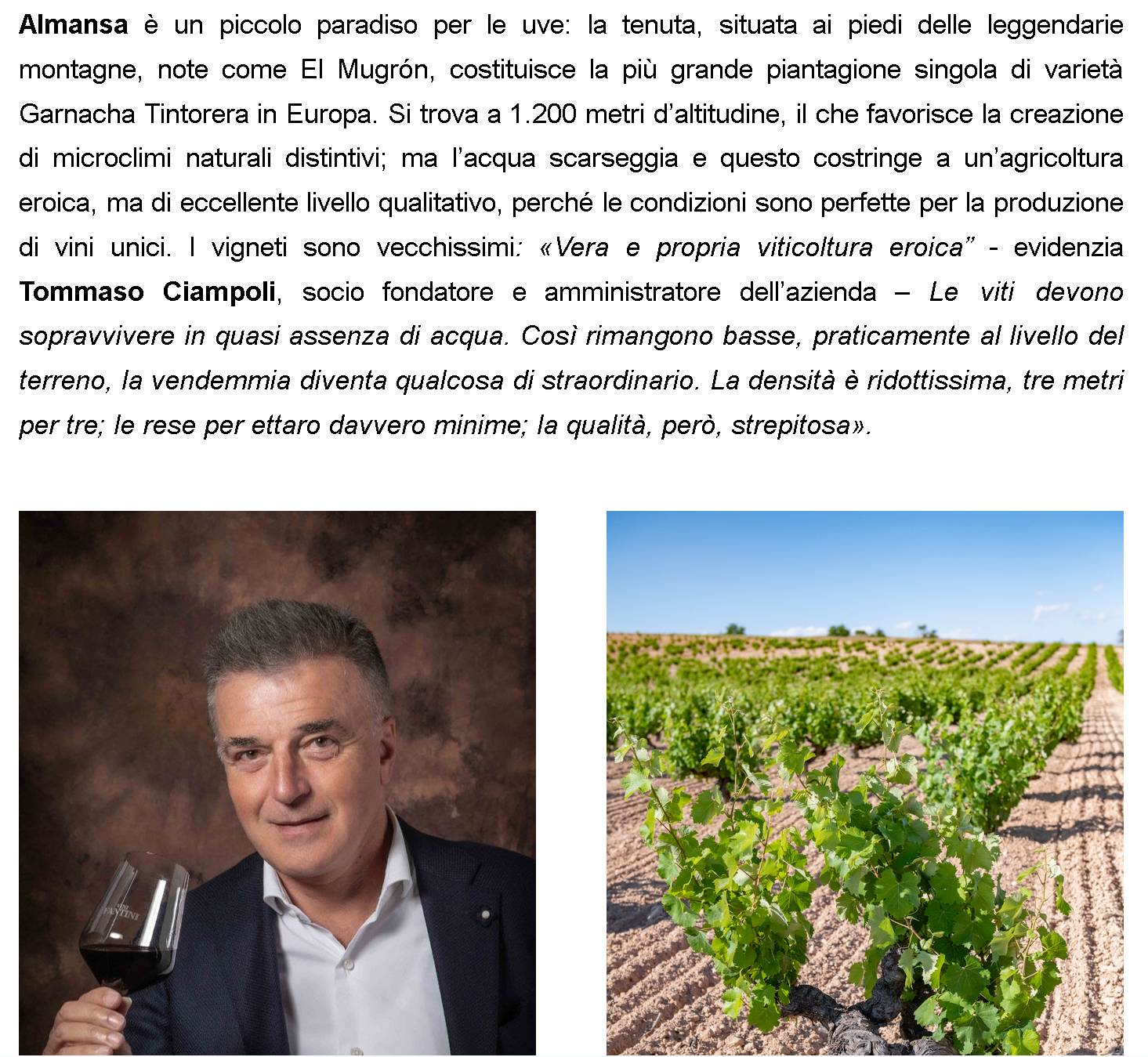 FANTINI: RILEVATA LA CANTINA EX VENTA LA VEGA IN SPAGNA