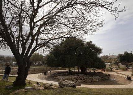 scoperti frammenti scoperti frammenti