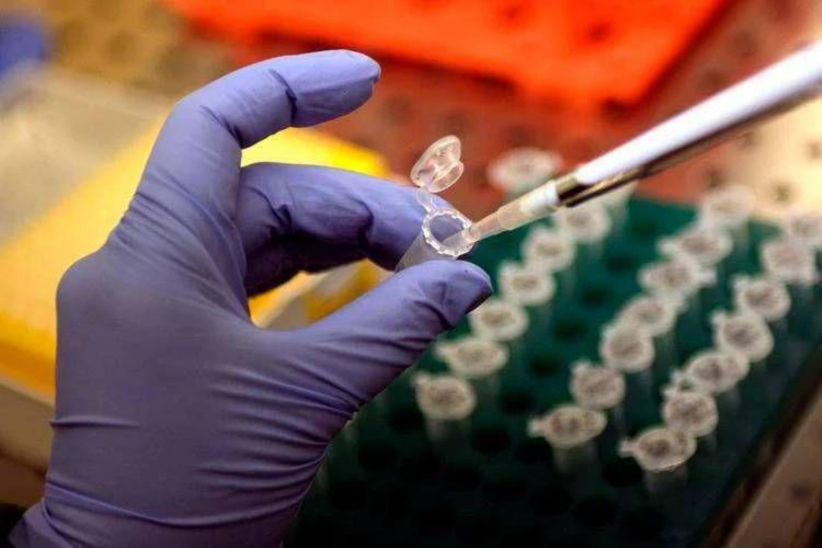Embrioni creati da cellule della pelle umana: svolta storica nella ricerca scientifica