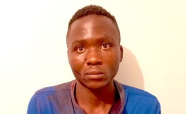 vampiro uccide vampiro uccide