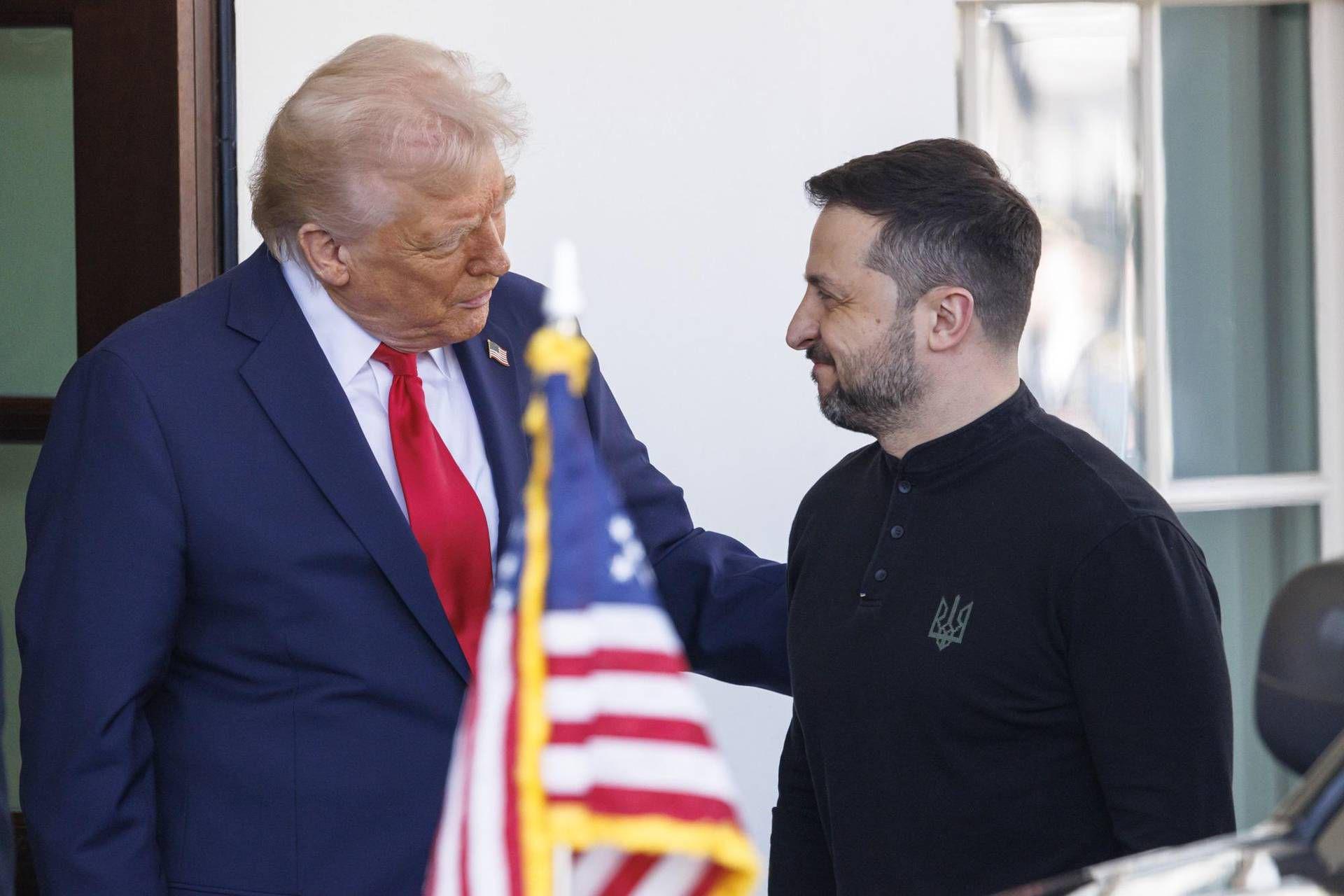 zelensky firma zelensky firma