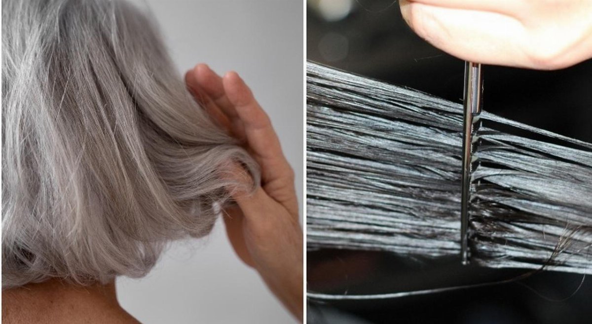 Capelli grigi: scoperto il meccanismo che potrebbe far tornare il colore naturale Capelli grigi: scoperto il meccanismo che potrebbe far tornare il colore naturale