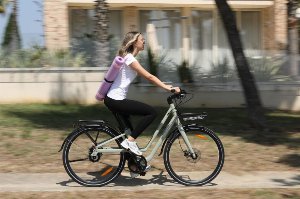 bici elettrica