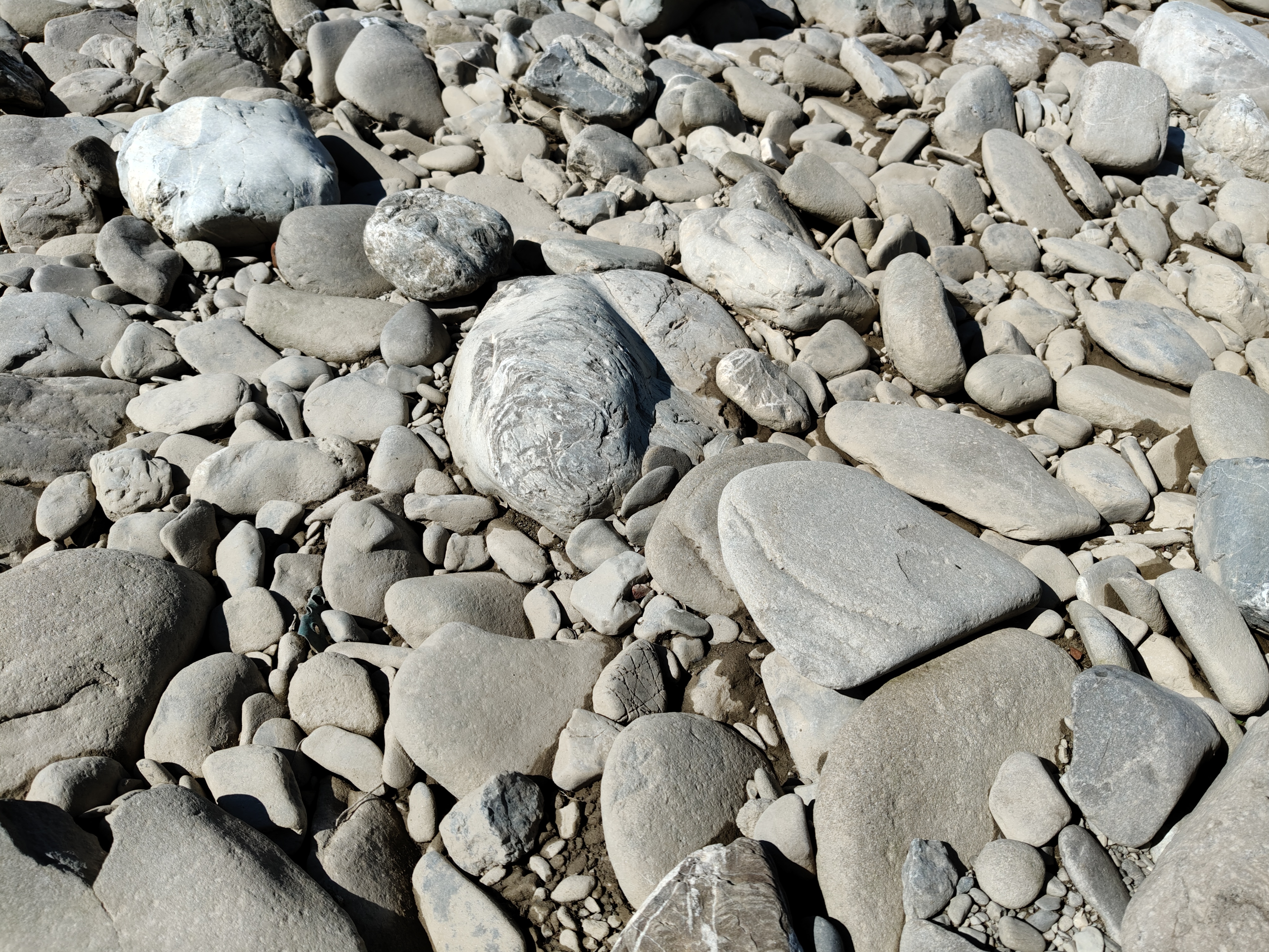 realme recensione Realme 12 Pro - Recensione tecnica comparto fotografico