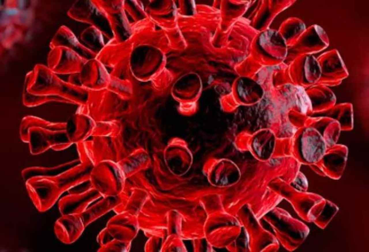 Bollettino Coronavirus, Casertano: 79 positivi, chiusa azienda Bollettino Coronavirus, Casertano: 79 positivi, chiusa azienda