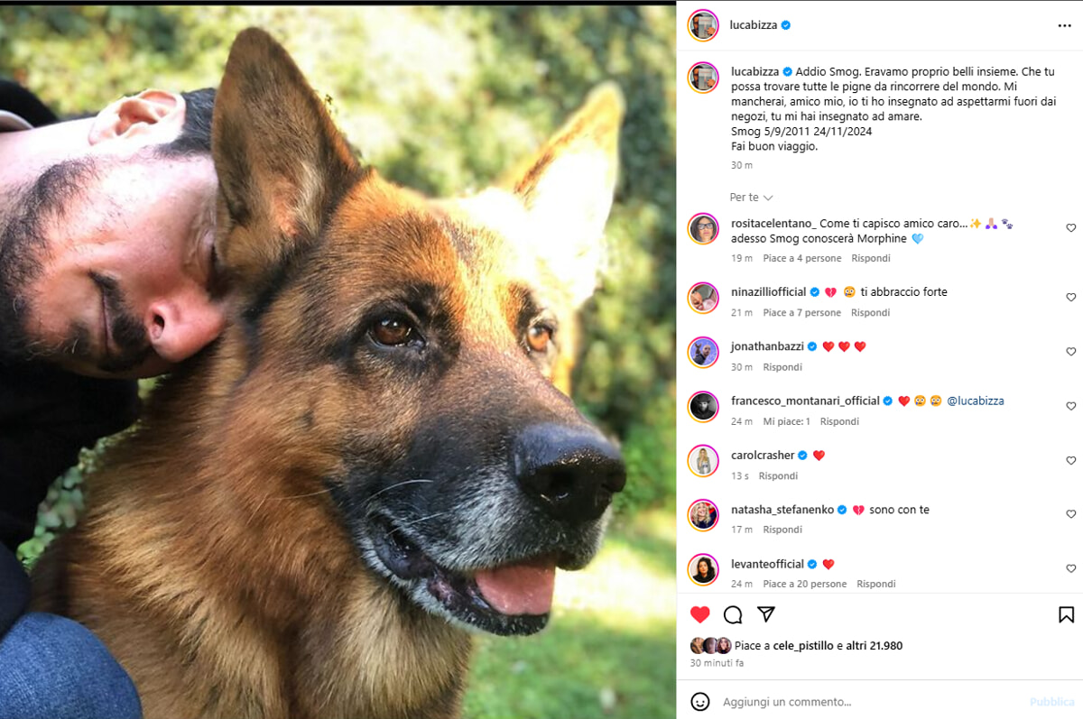 Addio a Smog, il cane di Luca Bizzarri: Mi hai insegnato ad amare