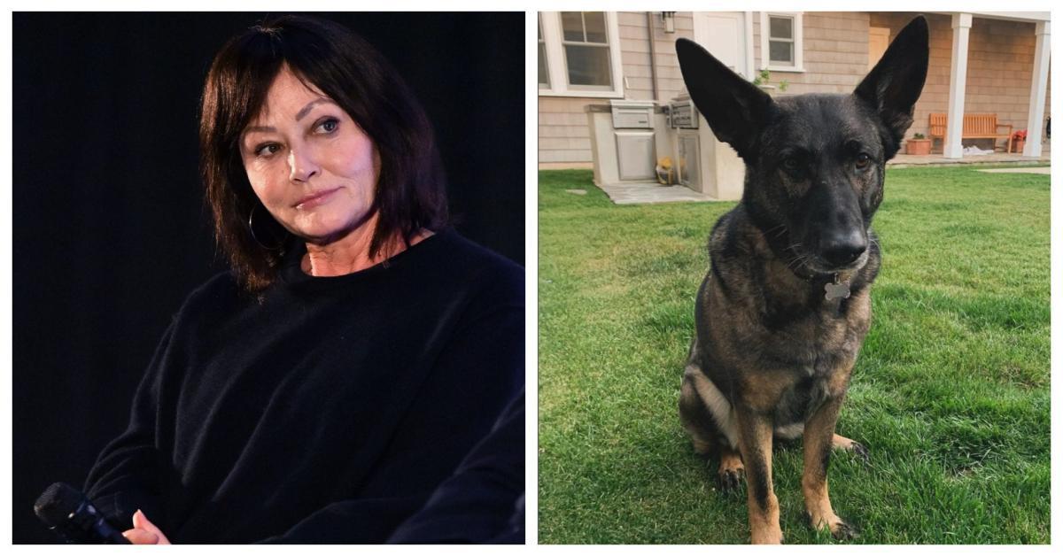 shannen doherty shannen doherty