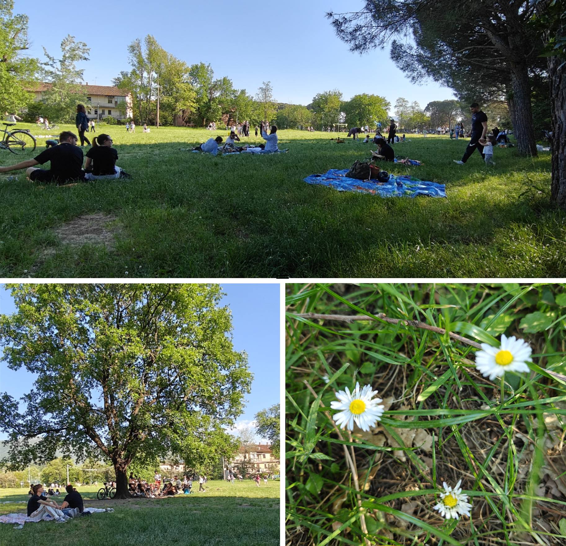 recensione realme Recensione Realme 14 5G