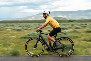 bici elettrica bici elettrica
