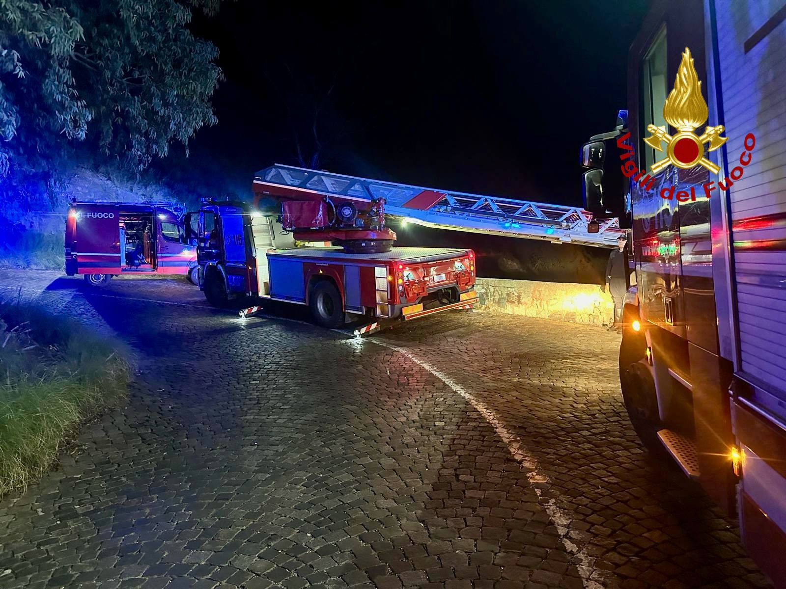 auto precipita auto precipita