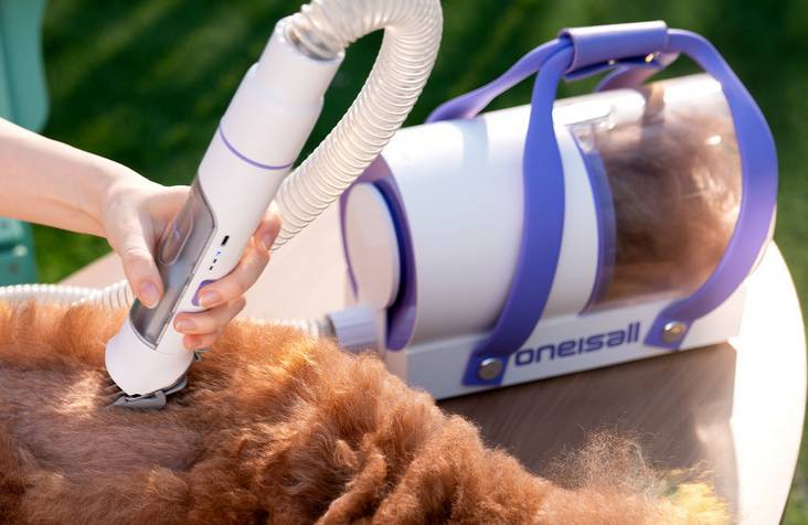 oneisall offerte OneIsAll - Offerte Prime di Amazon