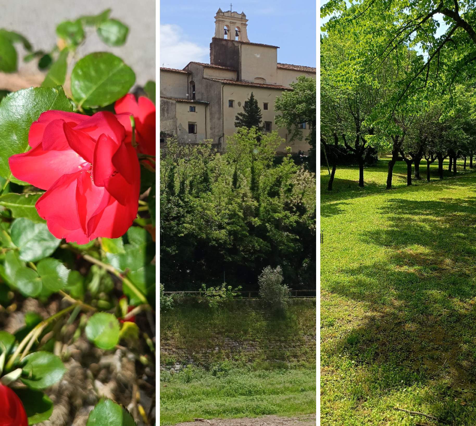  Realme 12 5G Recensione