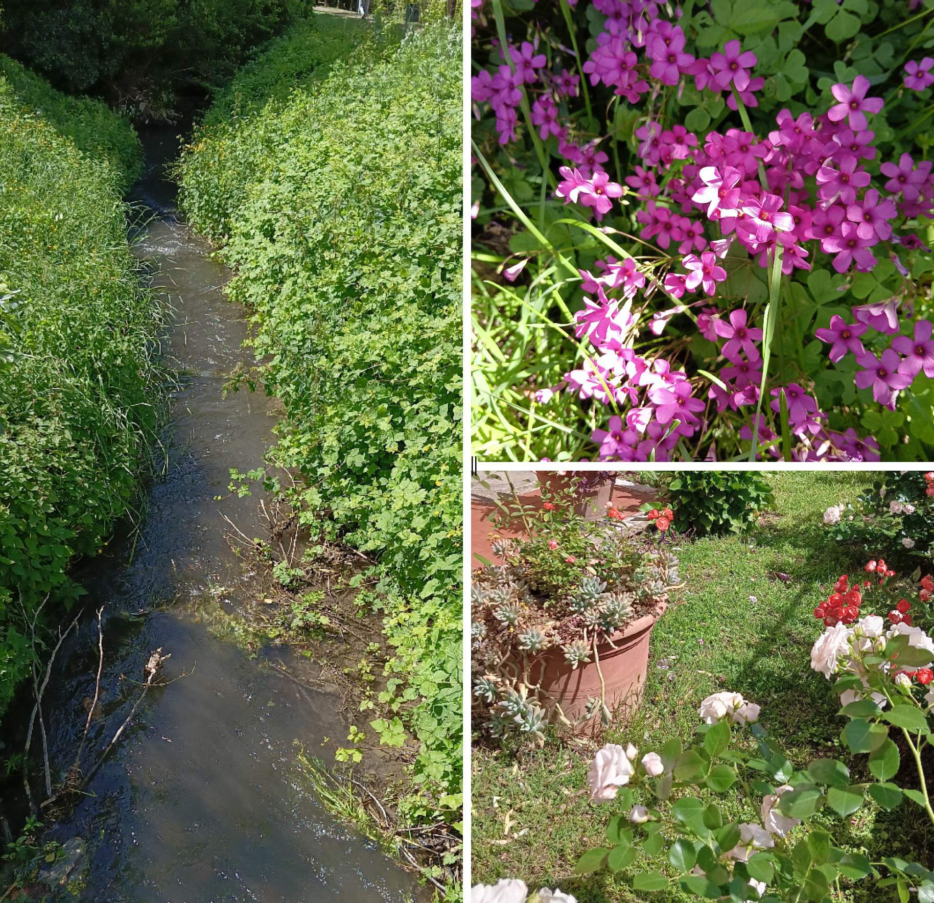 realme recensione Realme 12x 5G Recensione