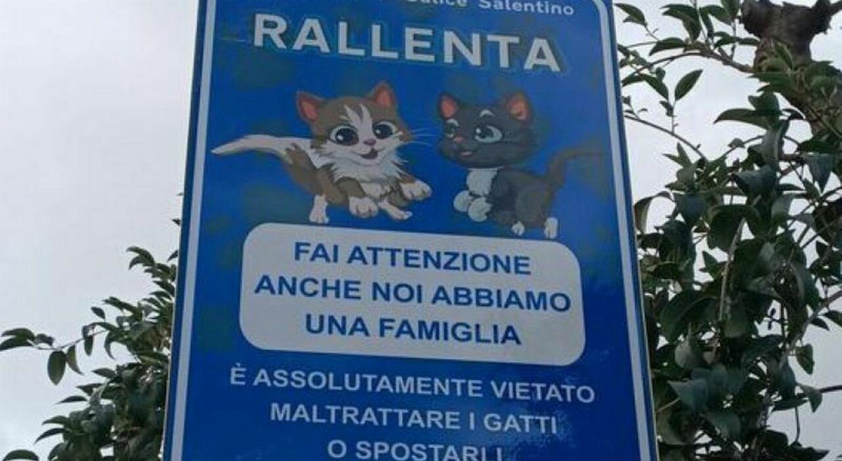 Cartelli stradali a tutela dei gatti nel centro di Salice Salentino