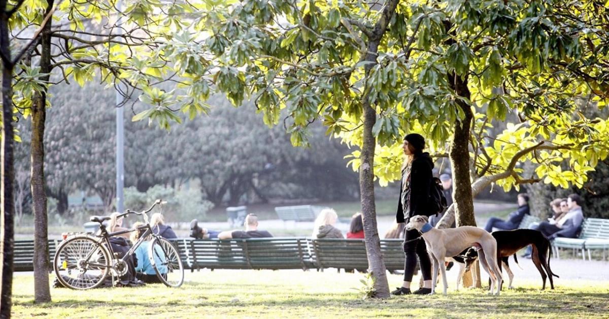 Previsioni meteo, cambia tutto da mercoledì 13 Marzo: arriva la primavera