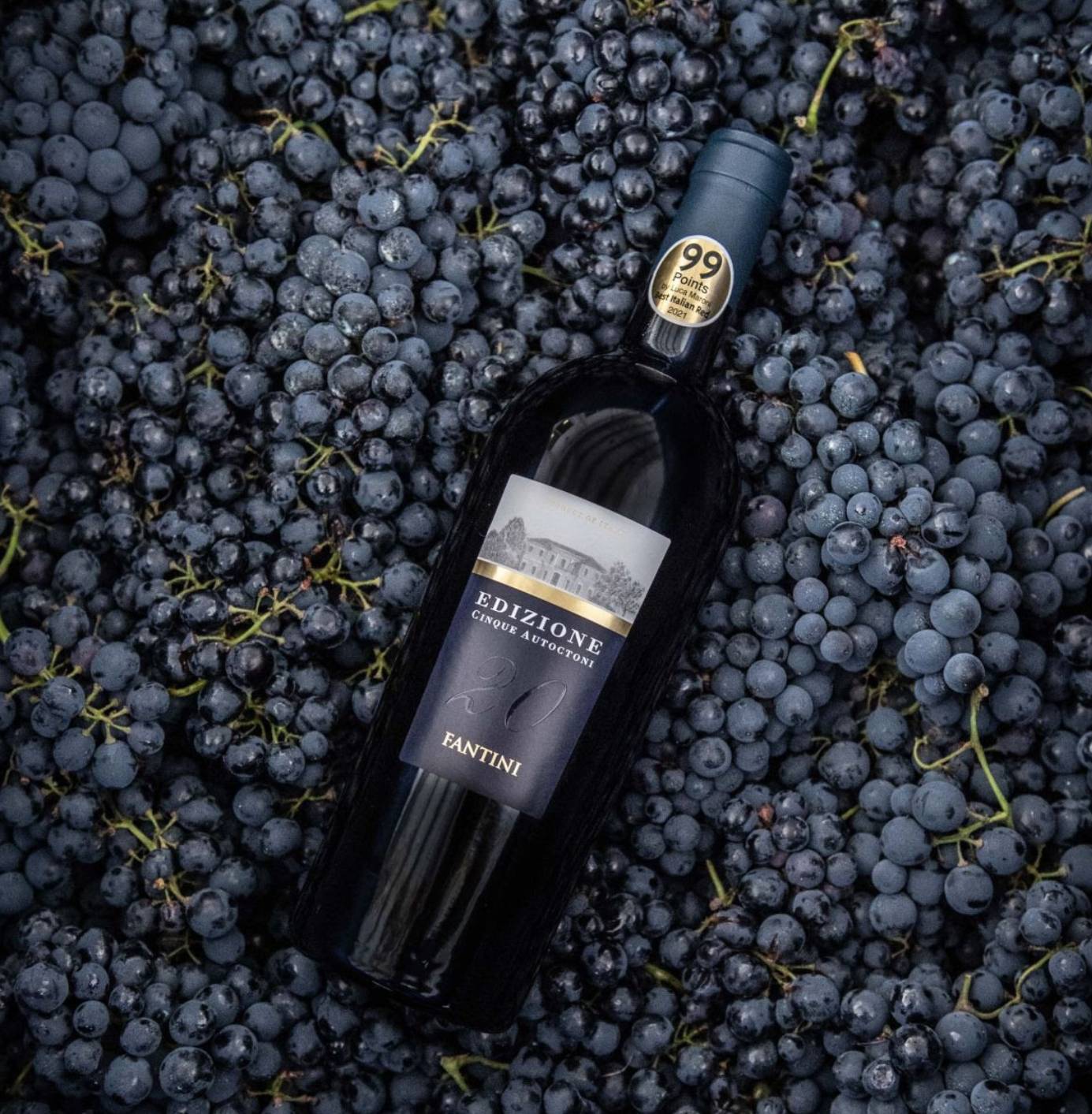 fantini wines Fantini Wines conquista Seoul: vince il Grand Prize ai Korea Liquor Awards 2025