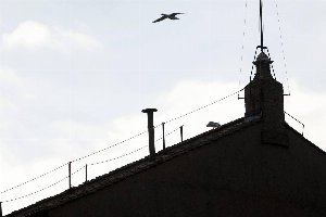 conclave oggi conclave oggi