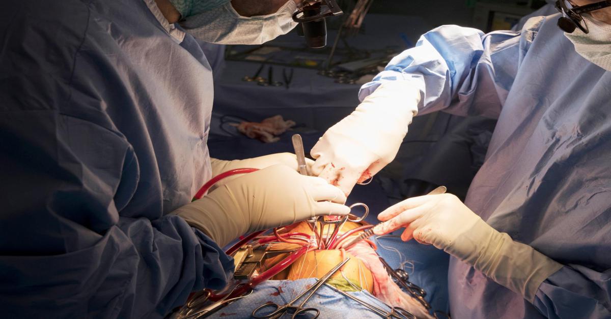 Primo caso al mondo di trapianto di rene da maiale a uomo: il paziente sta bene e migliora