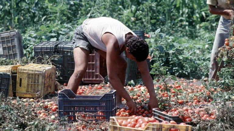violenze sfruttamento violenze sfruttamento