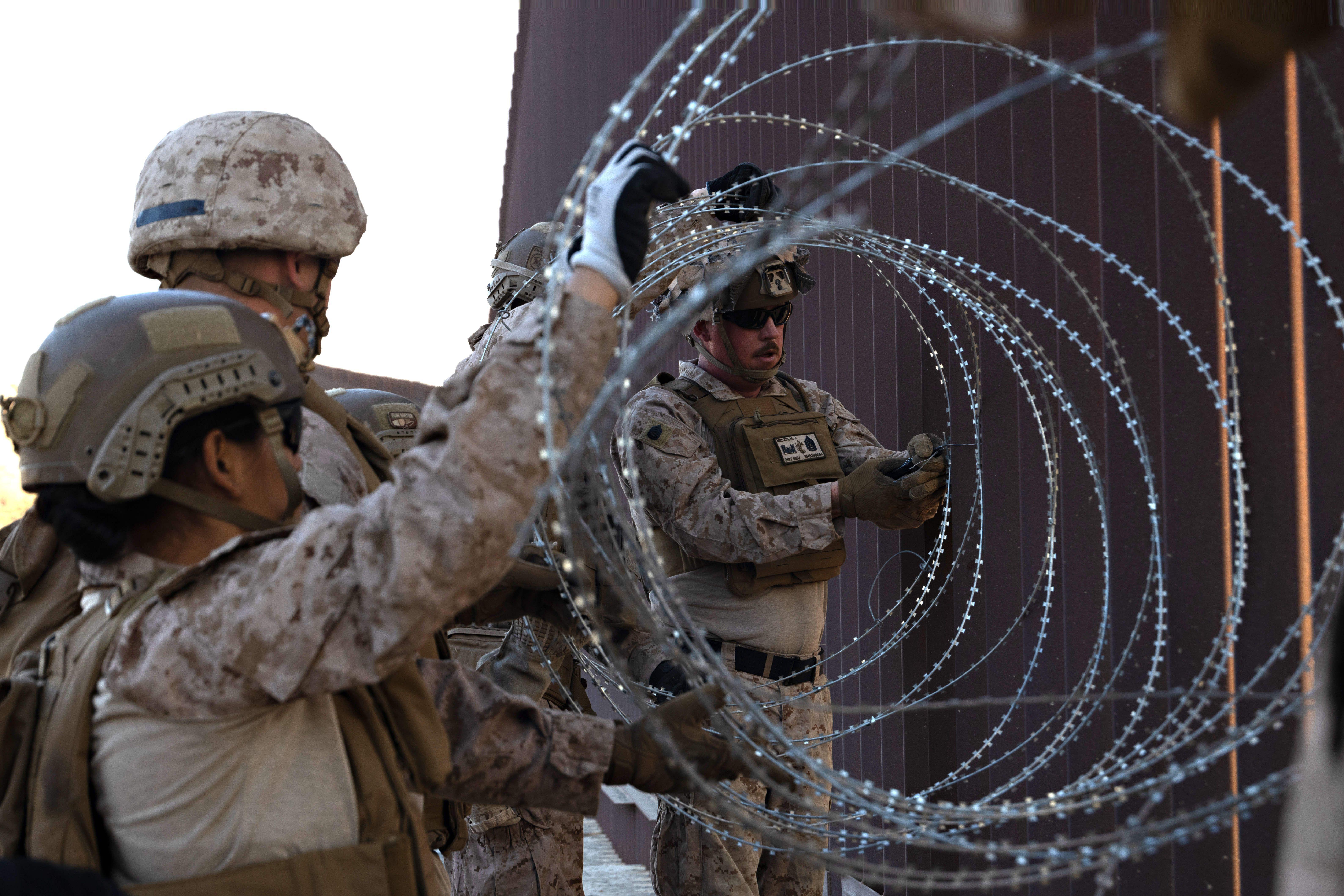 quasi migranti quasi migranti