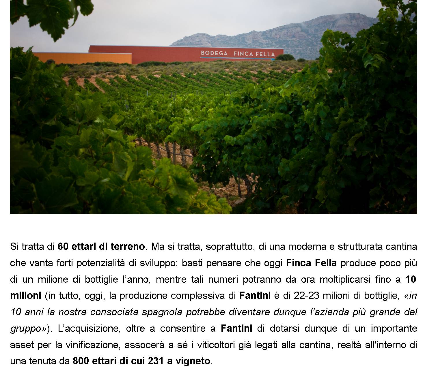 FANTINI: RILEVATA LA CANTINA EX VENTA LA VEGA IN SPAGNA