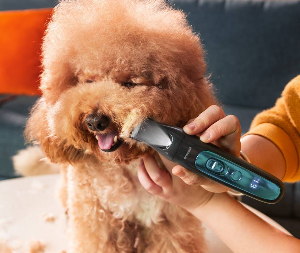 oneisall offerte OneIsAll - Offerte Prime di Amazon