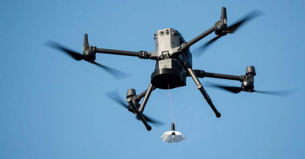 rivoluzionare ricerca rivoluzionare ricerca