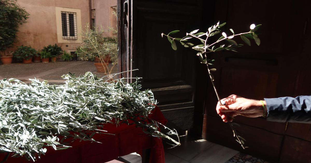 Perché Si Festeggia La Domenica Delle Palme E' la Domenica delle palme, cosa si celebra e perché si usano i rami d