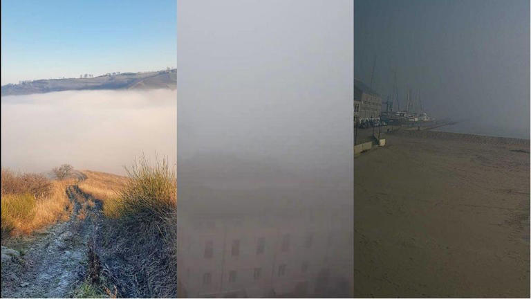 Meteo: cosa è la nebbia in Emilia Romagna e Marche?