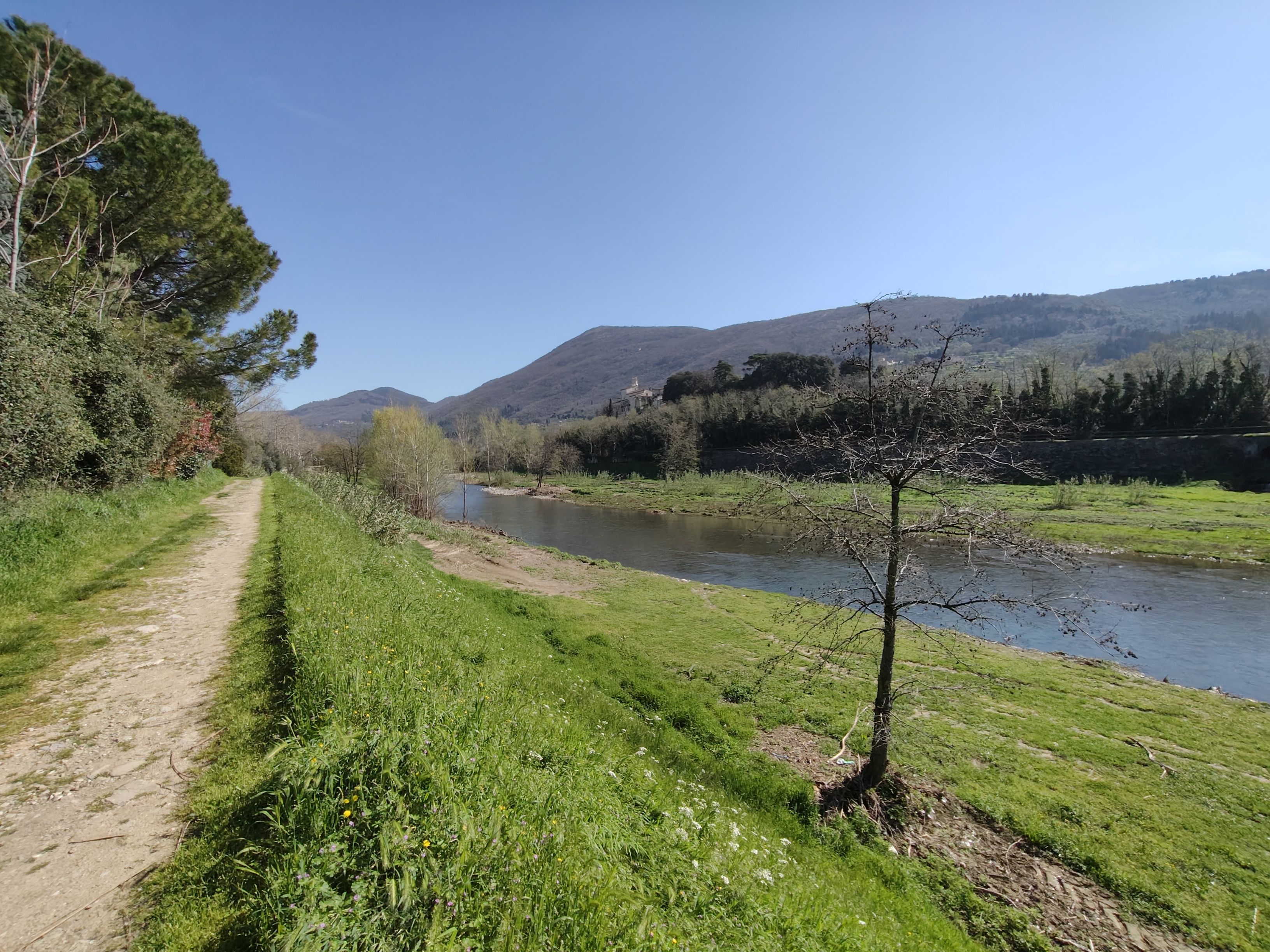 realme recensione Realme 12 Pro - Recensione tecnica comparto fotografico