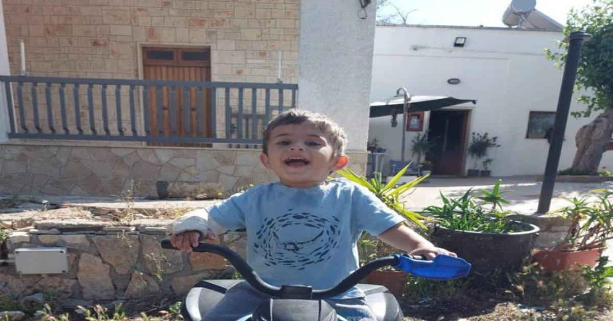 domenico gallo domenico gallo