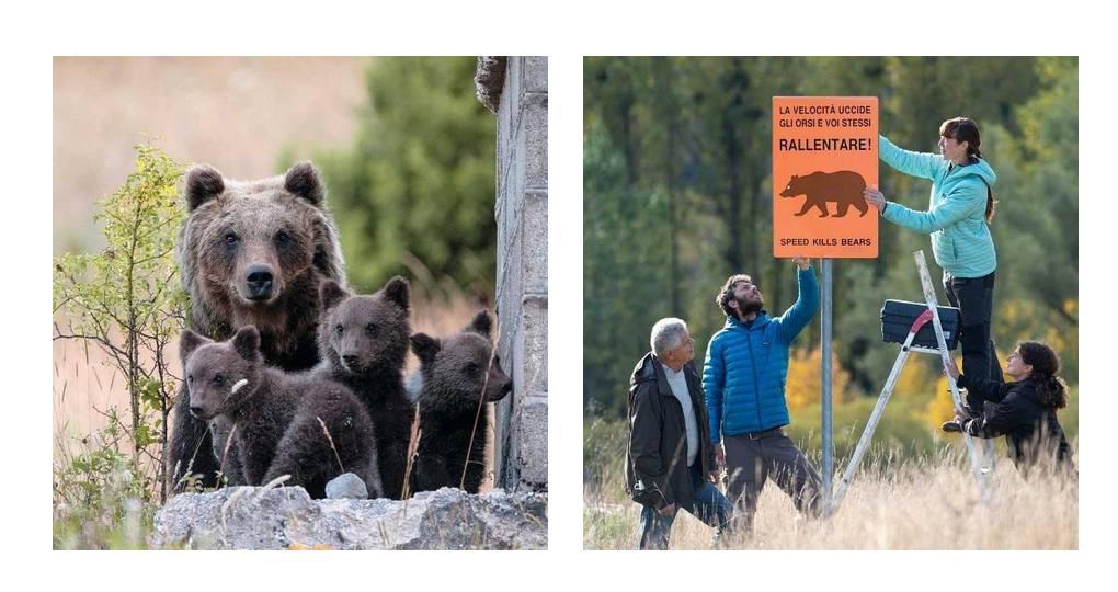 intel reolink intel reolink