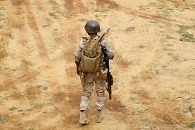 Attacco Jihadista nel Sud-Ovest del Niger: 7 Soldati Caduti, Altro Drappello Colpito da Incidente Mortale